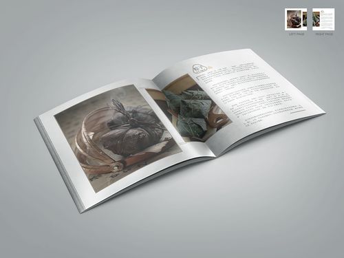 平面书装化语 探索ZCOOL杂志租赁新趋势